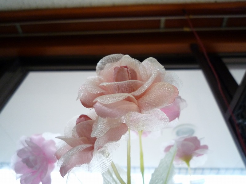 21a4592d.jpg