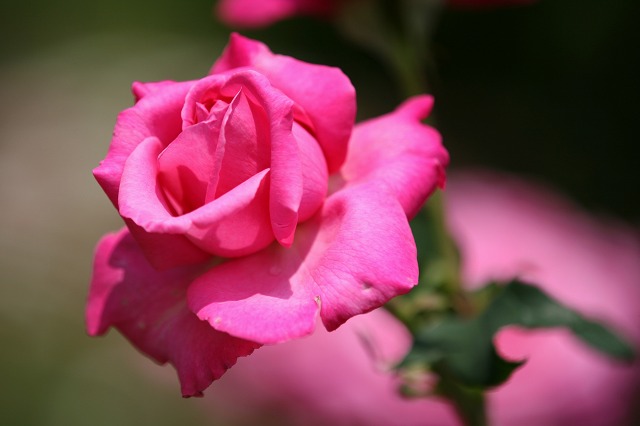 24e5484b.jpg