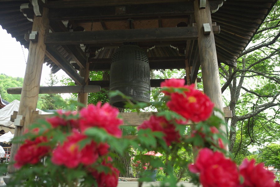 275cfa19.jpg