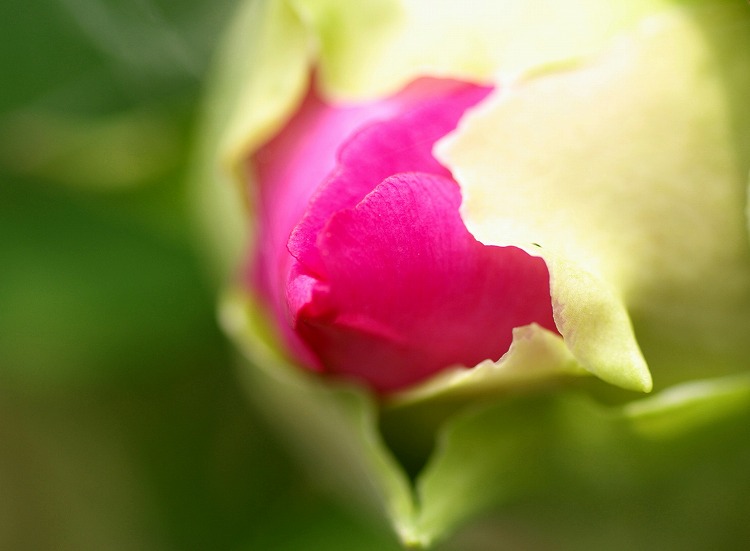 2d07923f.jpg