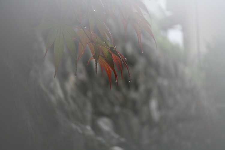 2d9fadd0.jpg