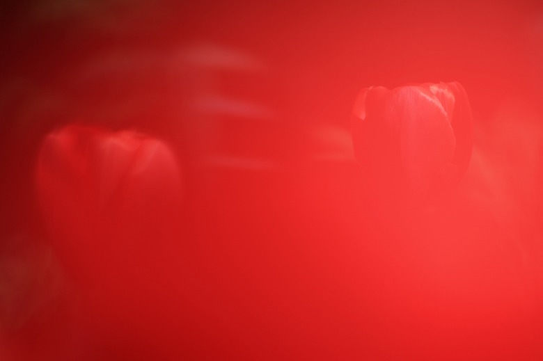 2e426524.jpg