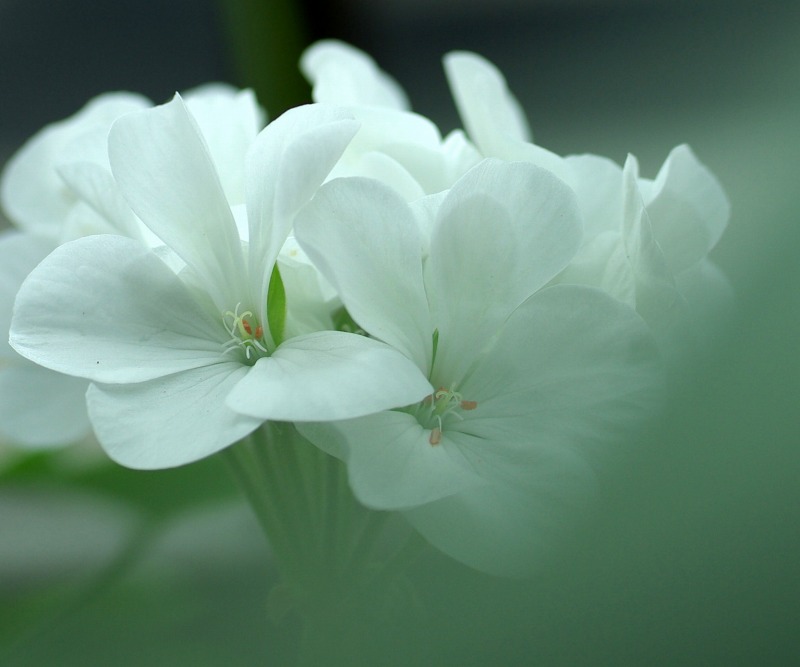 3040a969.jpg