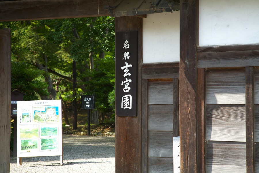 374d4ea9.jpg