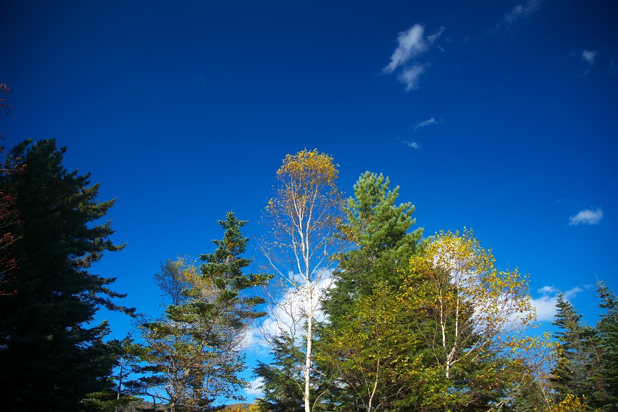 3a4374f4.jpg