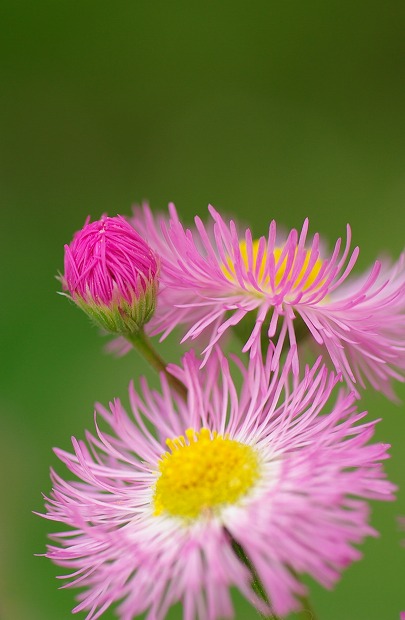 4304eb93.jpg
