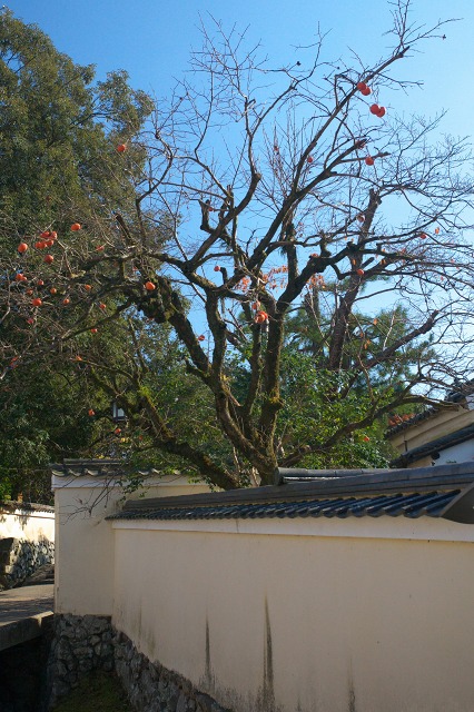 46f034f5.jpg