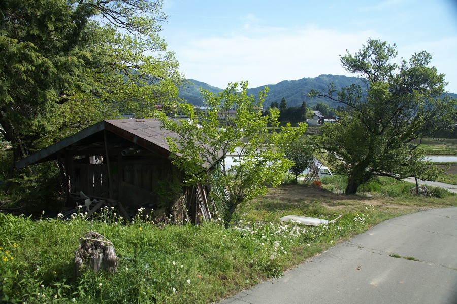 4f07e2e9.jpg
