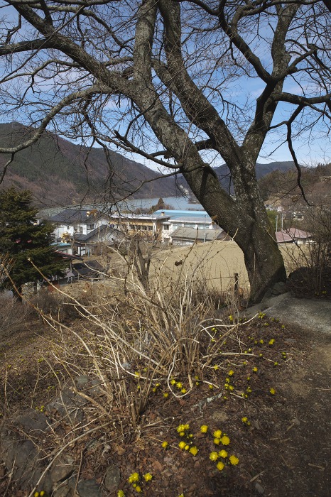 50f35107.jpg