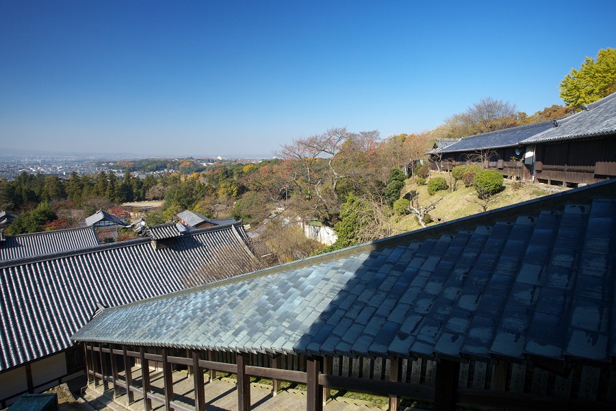 51a818d6.jpg