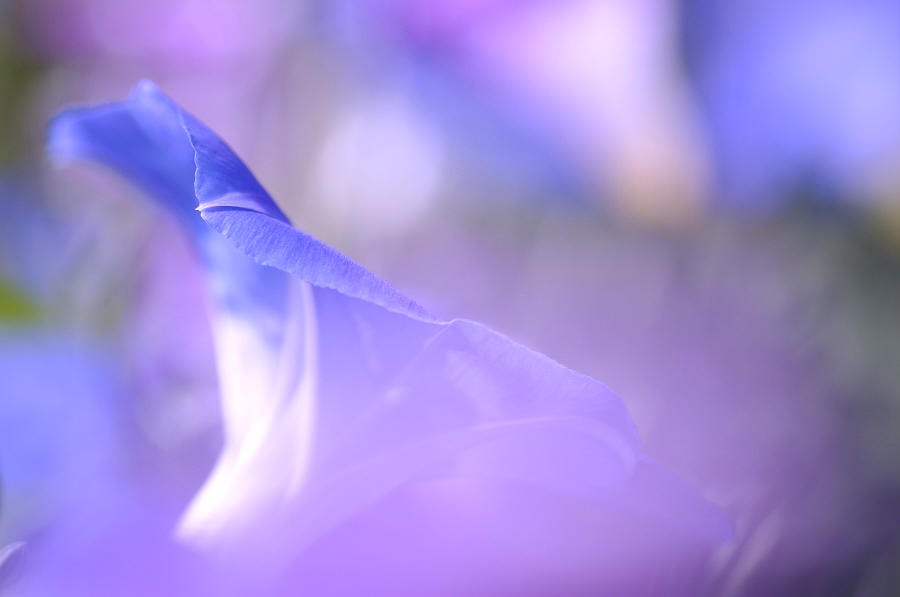 545897f8.jpg