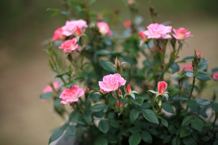 58d186f9.jpg