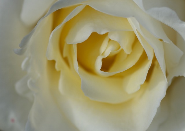 5b267841.jpg