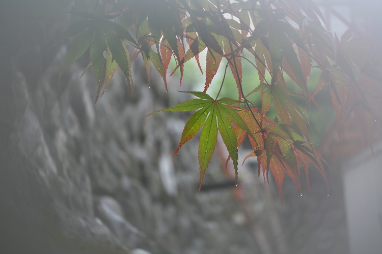 61c2d556.jpg