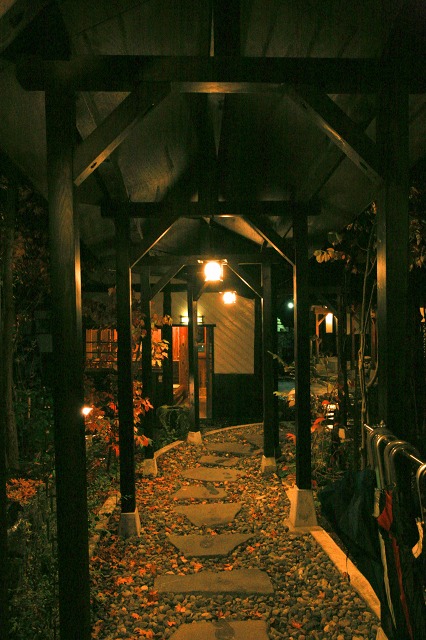 6883e785.jpg