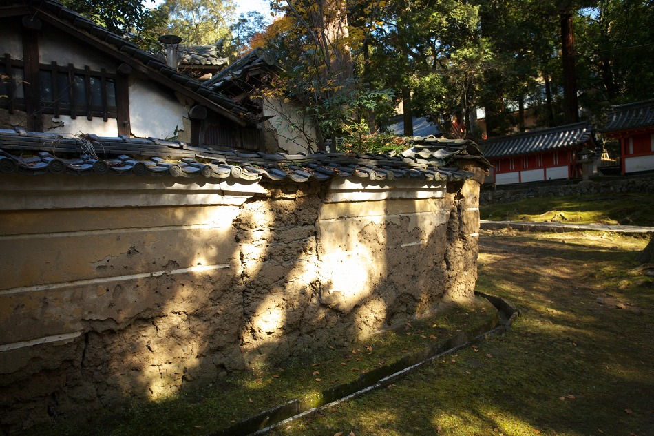 6fce50b9.jpg