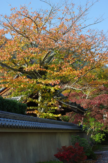 7165ef55.jpg
