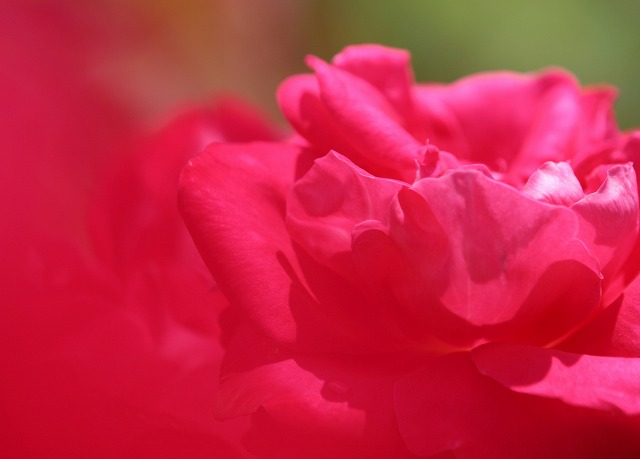 75438e5d.jpg