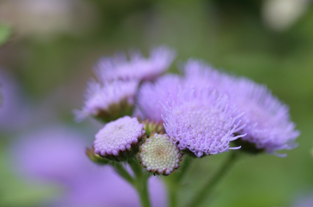 7b660484.jpg