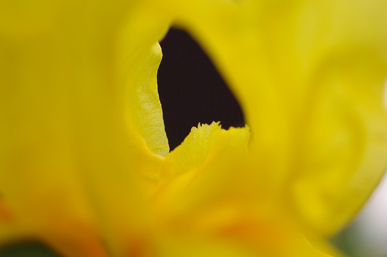 7c771790.jpg