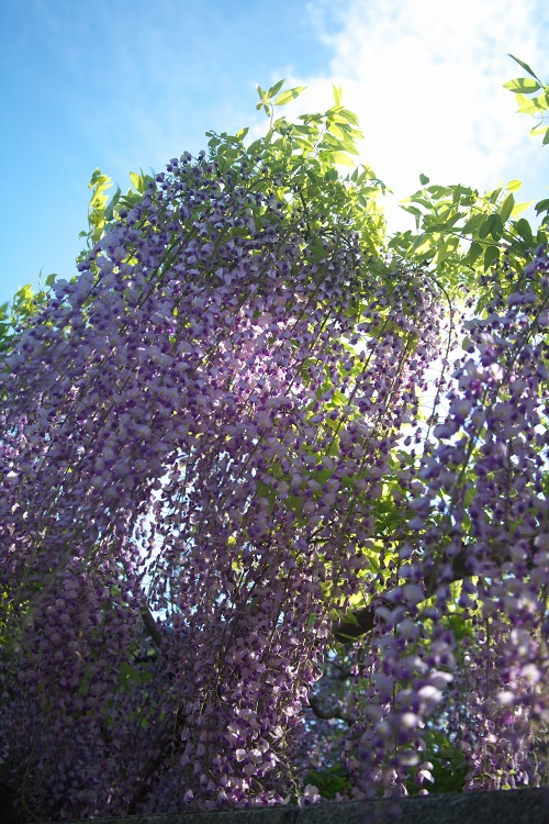7d5802ec.jpg