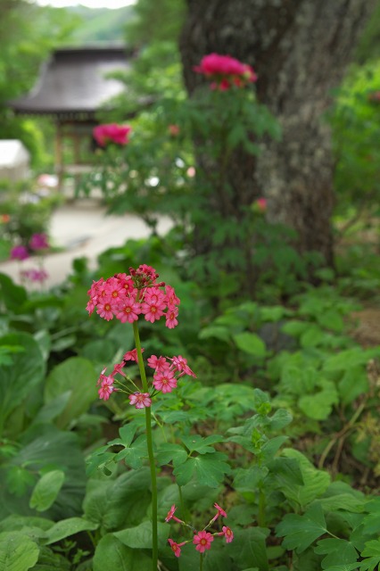 8fb08154.jpg