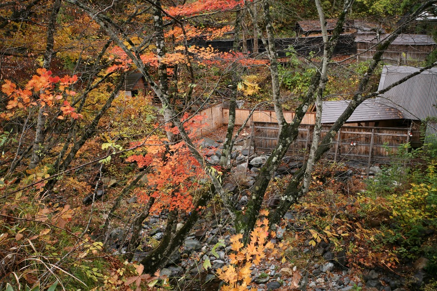 905107b7.jpg