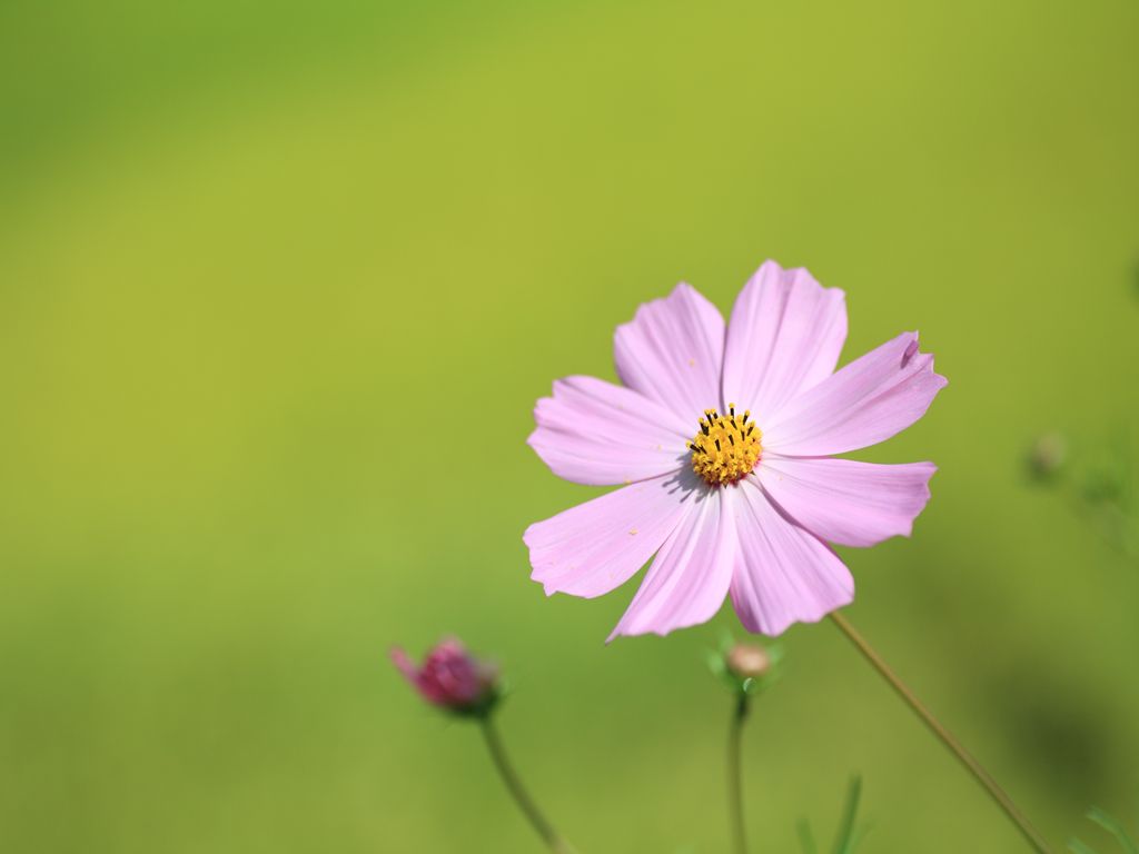 90a9d0a7.jpg