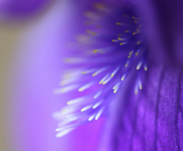 912e7f0f.jpg