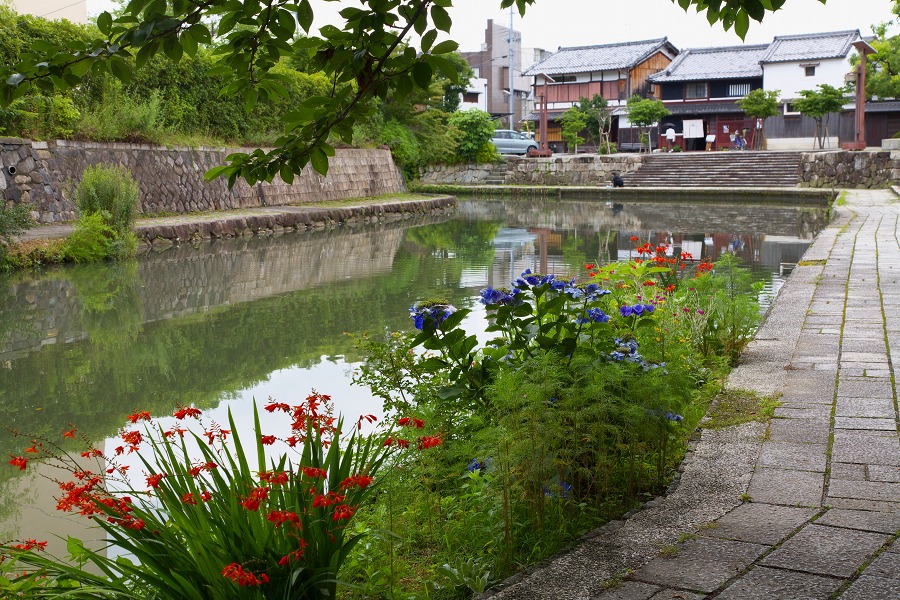 931f3168.jpg