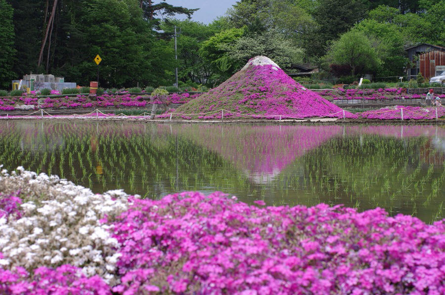 9b60068e.jpg