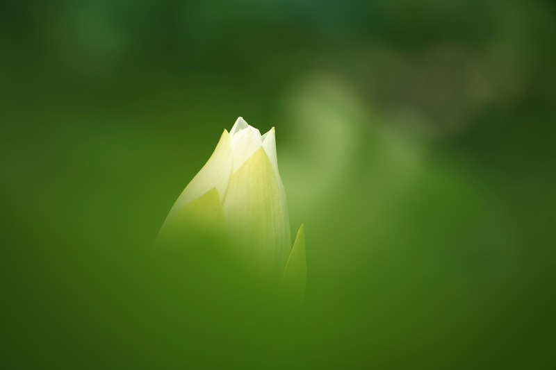 9bb24722.jpg