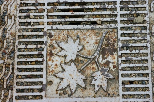 IMGP0225
