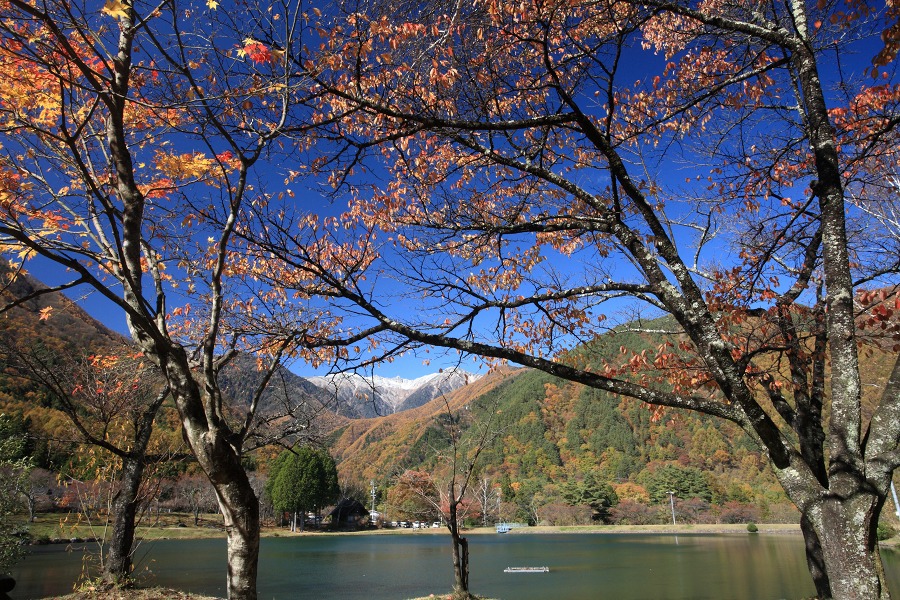 a0b8d570.jpg