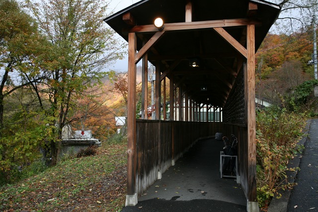 a6013e60.jpg