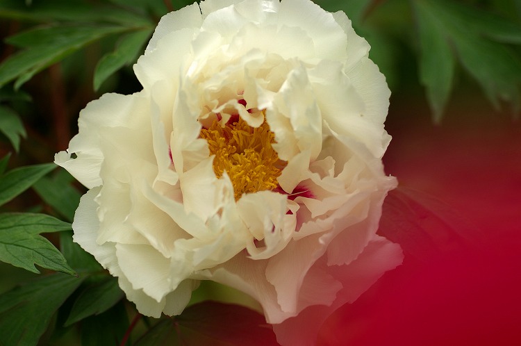 a6c9b1b7.jpg