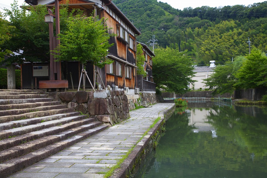 a6d13809.jpg