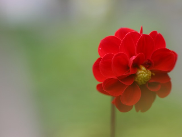 a7aff490.jpg