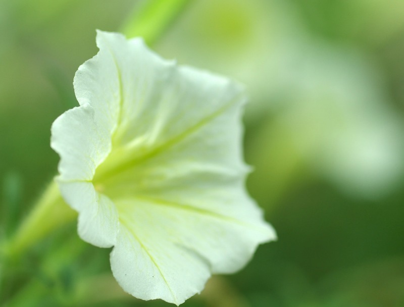 a7e213e1.jpg