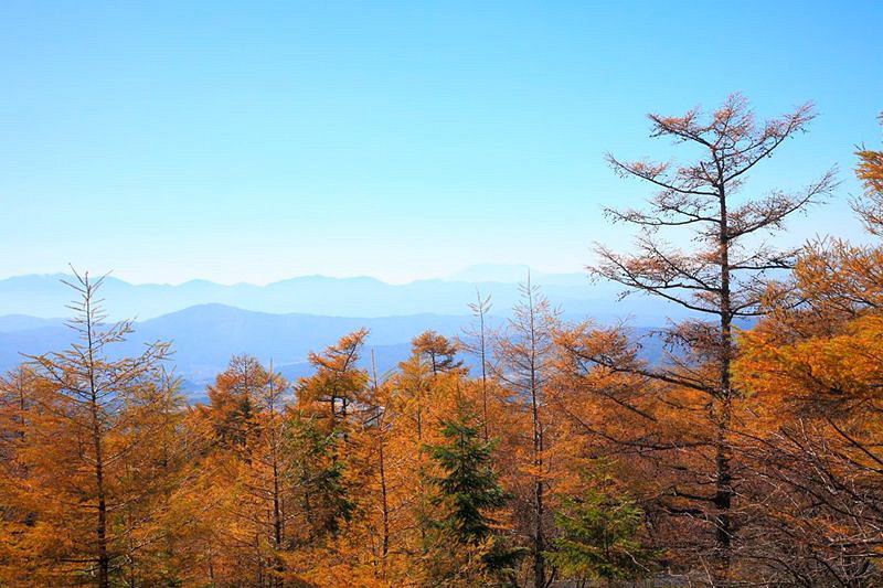 a85496b3.jpg