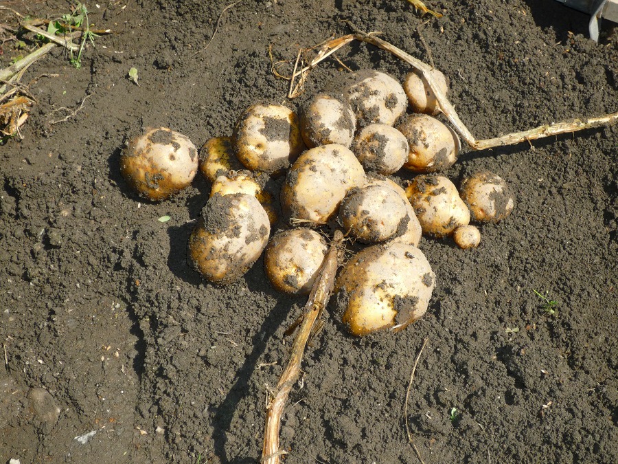 a929cb72.jpg