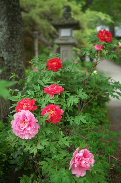 a9378f4f.jpg