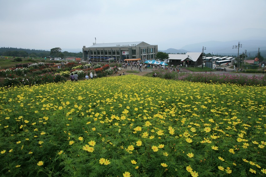 b21ba702.jpg