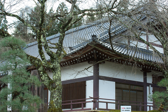 b310d127.jpg
