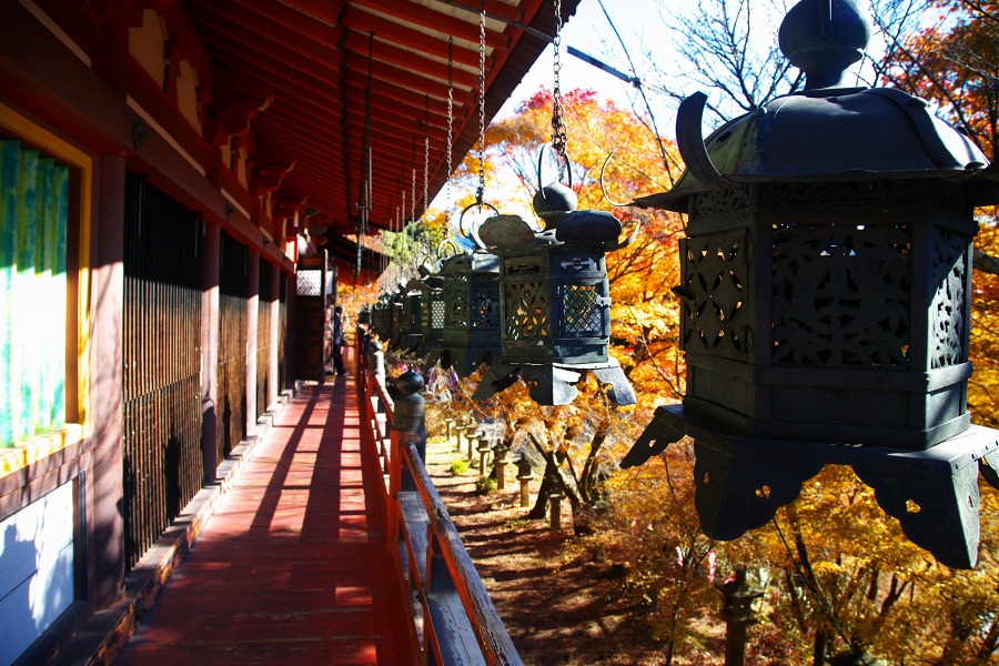 b3c4900a.jpg