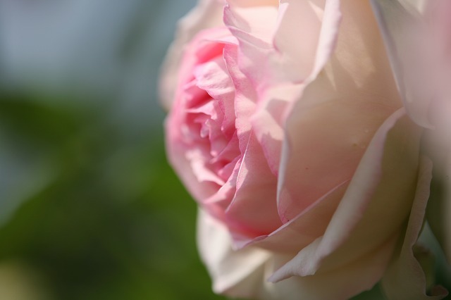 b8993ac0.jpg
