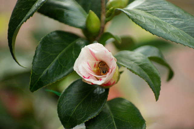 bb0217e4.jpg