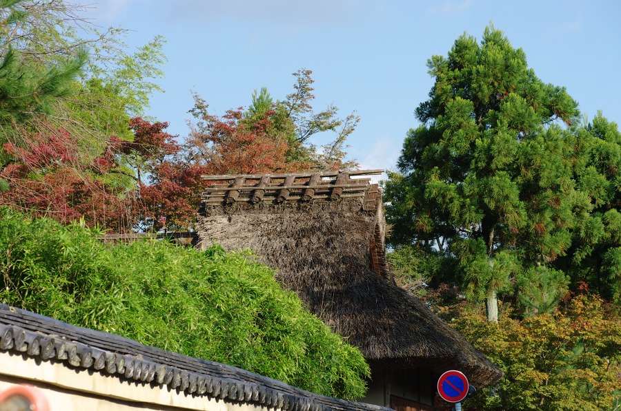 c34b9278.jpg