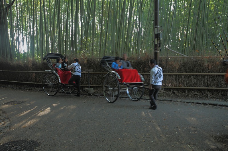 c3703745.jpg