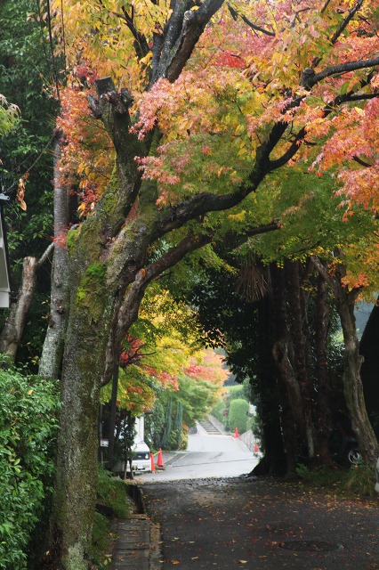 c6c338a4.jpg